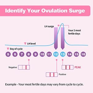 Ovulation Test Strips, HEAL-CHECK Ovulation Kits for Women, Bulk Ovulation Tests with Urine Cup, Extra-Wide 5mm LH Strips, Accurate Individually Wrapped Fertility Tests at Home,Pruebas de Ovulacion 25