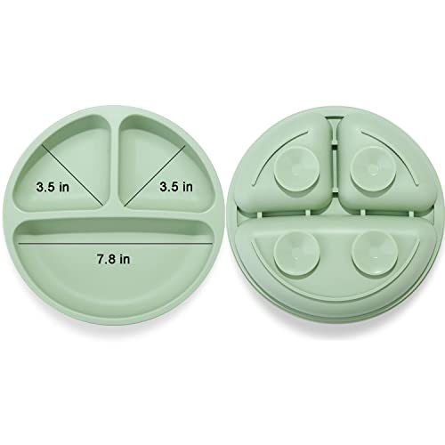 PandaEar Divided Unbreakable Silicone Baby and Toddler Plates - 3 Pack - Non-Slip - Dishwasher and Microwave Safe - Silicone (Blue Green Brown)