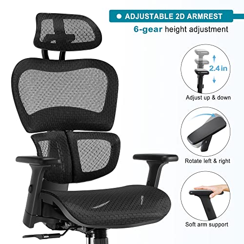 SUNNOW Ergonomic Mesh Chair with 3D Lumbar Support, Adjustable Headrest & Sliding Armrest, Swivel Executive Computer High Gaming Chairs for Home Office Work