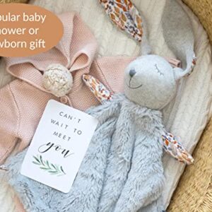 Yuppie Mommy Bonny Bunny Handmade Lovey Security Blanket Gift for Baby Boy or Baby Girl Woodlands Theme— Soft Baby Blanket with Bunny Stuffed Animal with Pacifier Ties Lovies for Newborns and Babies