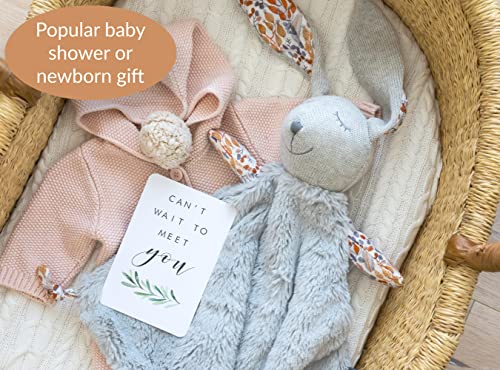 Yuppie Mommy Bonny Bunny Handmade Lovey Security Blanket Gift for Baby Boy or Baby Girl Woodlands Theme— Soft Baby Blanket with Bunny Stuffed Animal with Pacifier Ties Lovies for Newborns and Babies