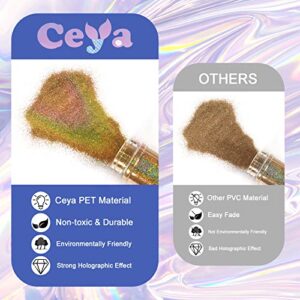 Ceya 3.5oz/ 100g Holographic Ultra Fine Glitter Powder Laser Royal Blue Glitter 1/128” 0.008” 0.2mm for Slime Epoxy Resin Craft Tumbler Jewelry Nail Art Festival Makeup Painting Wedding Cards