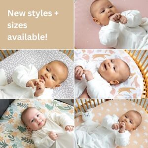 POPPI & MAX 100% Organic Cotton Bassinet Sheets for Boy Girl | 3-Pack Premium Jersey Bassinet Sheet Set | Fitted Baby Sheets for Standard Bassinet Pads | Bassinet Cover | Misty Sage Star Spot Stripe