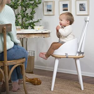 Ity by Ingenuity Simplicity Seat Easy-Clean Baby Booster Feeding Chair – Oat
