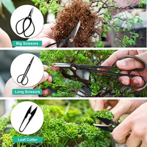 16PCS Bonsai Tools Kit with Bag,Gardening Succulent Tree Indoor Beginner Tool Kit with Bonsai Wire, Pruning Shears, Bonsai Scissors, Gardening Trimming Tools, Gifts for Women