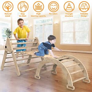 Baoniu Foldable Climbing Triangle Ladder Toys with Ramp for Sliding or Climbing, Set of 3 Wooden Safety Sturdy Kids Play Gym, Indoor Outdoor Playground Climbing Toys for Toddlers