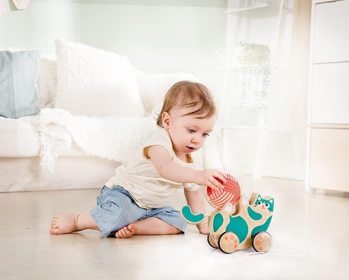 Hape Wooden Walk-A-Long Kitten Pull Toy| Roll & Rattle Push Pull Toy for Toddler| Montessori Toys for Walking Toddlers, Green