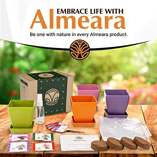 Almeara Indoor Bonsai Tree Kit - Beginner's Starter Kit with 4 Types of Seeds for Higher Success Rate - Plant Kits Include Manual, Bamboo Pots, Catch Trays, and Complete Accessories in Gift-Ready Box