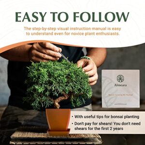 Almeara Indoor Bonsai Tree Kit - Beginner's Starter Kit with 4 Types of Seeds for Higher Success Rate - Plant Kits Include Manual, Bamboo Pots, Catch Trays, and Complete Accessories in Gift-Ready Box
