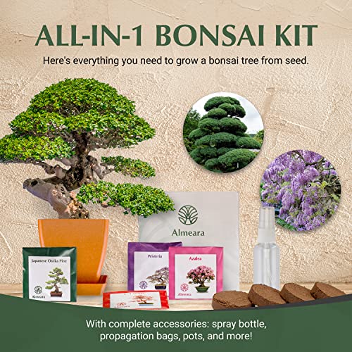 Almeara Indoor Bonsai Tree Kit - Beginner's Starter Kit with 4 Types of Seeds for Higher Success Rate - Plant Kits Include Manual, Bamboo Pots, Catch Trays, and Complete Accessories in Gift-Ready Box