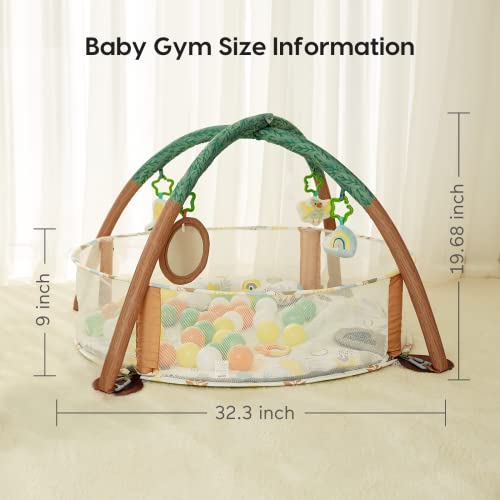 Lupantte 4-in-1 Baby Play Gym, Activity Gym Ball Pit with Detachable Anti-Slip Thickening Tummy Time Mat with Sensory Toys for Newborn Infant Toddler to Develop Motor&Cognition,Include 40 Balls