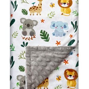 Baby Blanket for Boys Girls Double Layer Soft Plush Minky Blanket with Dotted Backing, Toddler Baby Newborn Blanket Shower Gifts (Cute Animal, 30 X 40 inches)