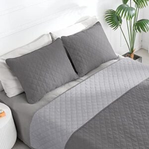 Easy-Going Full/Queen Size Reversible Quilt Set with 1 Quilt and 2 Pillow Shams, Soft Bed Quilt Cover, Lightweight Microfiber Bedspread, Water and Stain Resistant, Gray/Light Gray