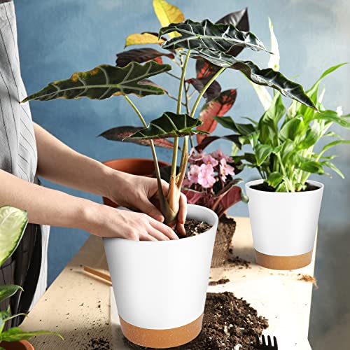 GARDIFE Plant Pots 7/6.5/6/5.5/5 Inch Self Watering Planters with Drainage Hole, Plastic Flower Pots, Nursery Planting Pot for All House Plants, African Violet, Flowers, and Cactus,White