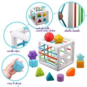 Baby Sensory Shape Sorter Blocks Toy - Activity Cube Bins - Montessori Educational Learning Fine Motor Skills Toys for Babies Toddlers 6 12 18 Months Age 1 2 3 One Two Year Old Boys Girls Gifts