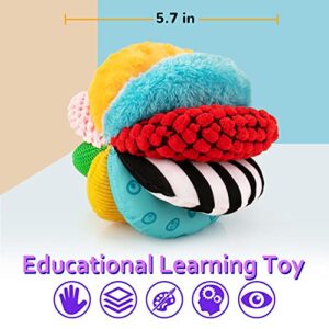 8-in-1 Sensory Balls for Infant Toddlers,Rainbow Fabric Baby Toy for Sensory Development,Montessori Toys for Babies 6-12 months,8 Different Sensory Tactile Textures with Crinkle Rattle Squeakers