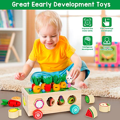 BAYSING Montessori Toys for 2,3,4 Year Old Baby Boys and Girls, Carrots Harvest Game, Wooden Shape Sorting Toys Gifts for Toddlers, Kids Age 1-3, Wood Preschool Learning Fine Motor Skills Game