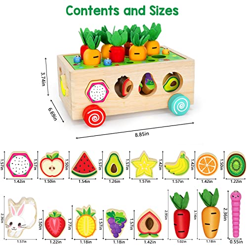 BAYSING Montessori Toys for 2,3,4 Year Old Baby Boys and Girls, Carrots Harvest Game, Wooden Shape Sorting Toys Gifts for Toddlers, Kids Age 1-3, Wood Preschool Learning Fine Motor Skills Game