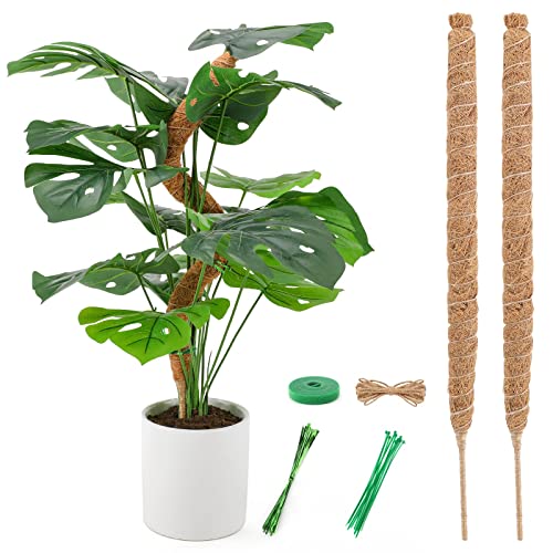 LMAIVE Moss Pole, Moss Pole for Plants Monstera, 2PCS 25'' Bendable Monstera Moss Pole, Moss Poles for Climbing Plants, Monstera Pole Plant Pole