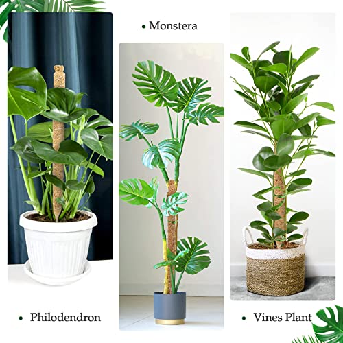 LMAIVE Moss Pole, Moss Pole for Plants Monstera, 2PCS 25'' Bendable Monstera Moss Pole, Moss Poles for Climbing Plants, Monstera Pole Plant Pole