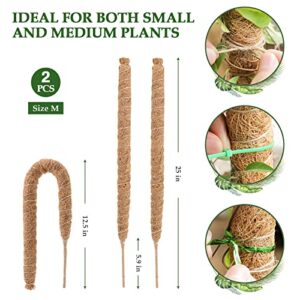 LMAIVE Moss Pole, Moss Pole for Plants Monstera, 2PCS 25'' Bendable Monstera Moss Pole, Moss Poles for Climbing Plants, Monstera Pole Plant Pole