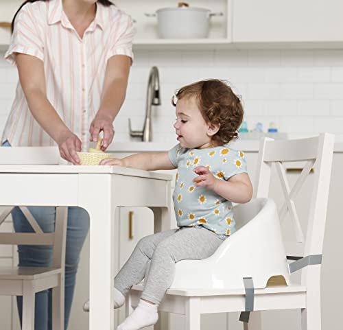 Regalo Baby Basics™ Booster Seat, White, Three-Point Safety Harness, Easily Wipeable, Sturdy & Durable Plastic