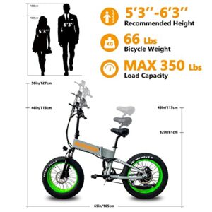 RUNDEER 750W Electric Bike for Adults Electric Bicycle 20in Fat Tire Bikes, Folding Ebike for Adults with Samsung Battery 48V Front and Rear Shocks Absorption(Gray)