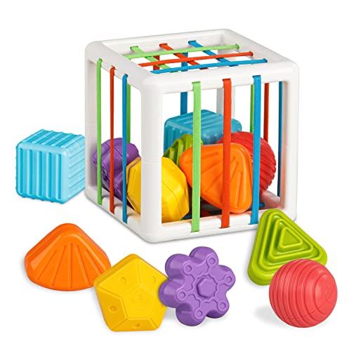 Tiyol Shape Sorter Baby Toys 12-18 Months, Montessori Learning, Developmental Toys, Storage Cube Bin & 6 Sensory Shape Blocks, Fine Motor Skills, Birthday Gifts Toddler Boy Girl Age 1 2 3（6 Pieces）