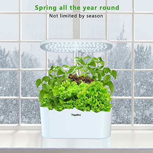 Vegebox Hydroponics Growing System, Indoor Herbs Kitchen Garden with Full Spectrum LED Grow Light, Plants Germination Kit 11 pods with Automatic Timer, Adjustable Height Up 14 inch to for Home