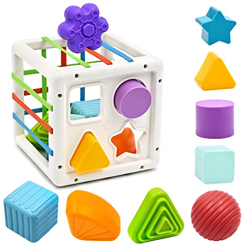 AiTuiTui Baby Montessori Toys for 1 Year Old Boy Girl Gifts, Shape Sorter Sensory Bin 6 12 18 Months Toys, Toddler Travel Fine Motor Skill Activity Learning Toys for Baby 1st Birthday