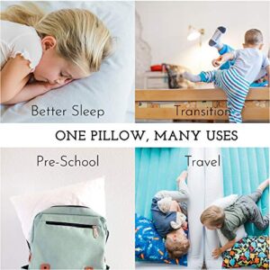 Toddler Pillow with Toddler Pillowcase - Soft Hypoallergenic - Best Pillow for Kids! Better Neck Support and Sleeping! Better Naps in Bed, a Crib, or at School! Makes Travel Comfier! (Dinosaurs Blue)