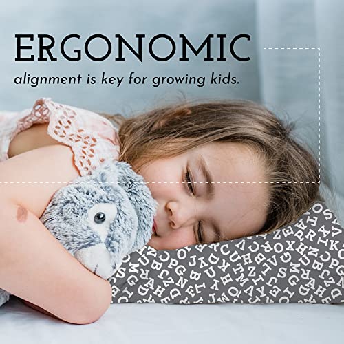 Toddler Pillow with Toddler Pillowcase - Soft Hypoallergenic - Best Pillow for Kids! Better Neck Support and Sleeping! Better Naps in Bed, a Crib, or at School! Makes Travel Comfier! (Alphabet Gray)