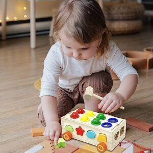 KIDSTHRILL 22 Pcs Set Wooden Shape Sorter Toy for Toddlers, & Pound A Ball Toy 12 Shapes 8 Balls 2 Hammers Montessori Gift Toys for 2 3 4 Years Old Boys & Girls Fine Motor Skills Toddler Toy