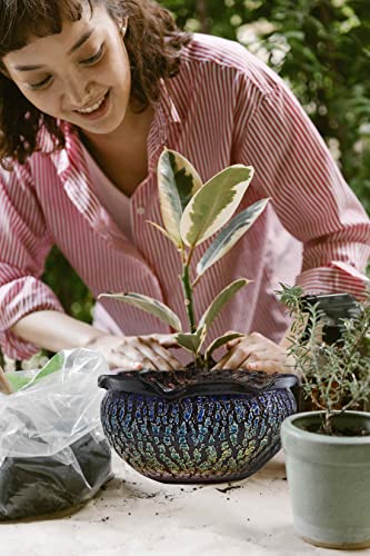 FFPOPU Bonsai Pots, Large Rough Pottery Succulent Planter with Drainage Hole, Purely Handmade Large Ceramic Bonsai Tree Pot,Green Bonsai Planter for Bonsai Lovers