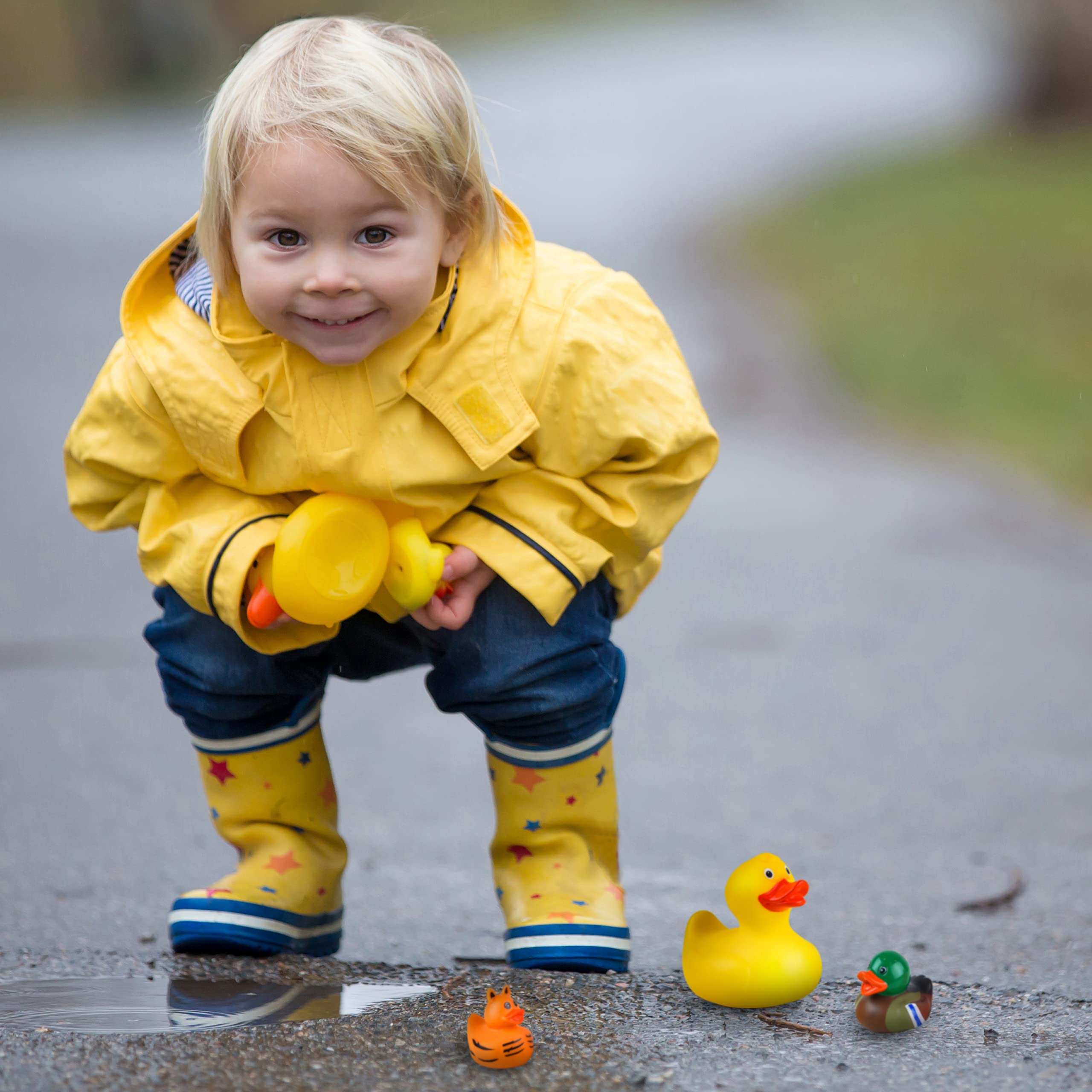 Rubber Ducks for Jeep Ducking 50 PCS Assorted Rubber Ducks for Duckies Games, Jeeps Ducking / Cruise Ships and Bath / Pool Play - Small 2 Inch Rubber Duck