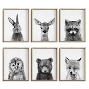 EPHANY Black and White Wall Art, Baby Animal Posters and Prints, Safari Bunny Prints, Nursery Bear Wall Art, Owl Print Wall Art Nordic Picture Kids Room Decoration (YMX017,8"x10"(20x25cm))