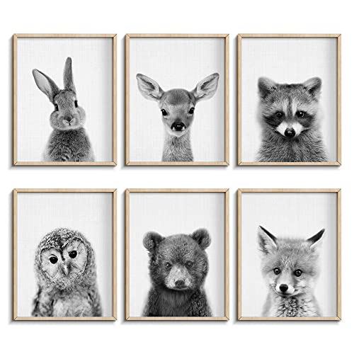 EPHANY Black and White Wall Art, Baby Animal Posters and Prints, Safari Bunny Prints, Nursery Bear Wall Art, Owl Print Wall Art Nordic Picture Kids Room Decoration (YMX017,8"x10"(20x25cm))