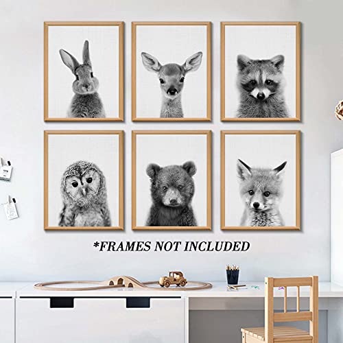 EPHANY Black and White Wall Art, Baby Animal Posters and Prints, Safari Bunny Prints, Nursery Bear Wall Art, Owl Print Wall Art Nordic Picture Kids Room Decoration (YMX017,8"x10"(20x25cm))