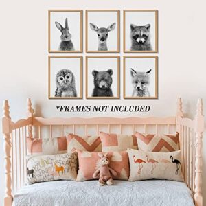 EPHANY Black and White Wall Art, Baby Animal Posters and Prints, Safari Bunny Prints, Nursery Bear Wall Art, Owl Print Wall Art Nordic Picture Kids Room Decoration (YMX017,8"x10"(20x25cm))