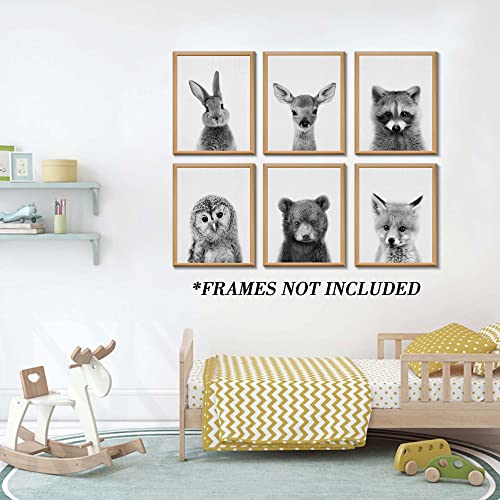 EPHANY Black and White Wall Art, Baby Animal Posters and Prints, Safari Bunny Prints, Nursery Bear Wall Art, Owl Print Wall Art Nordic Picture Kids Room Decoration (YMX017,8"x10"(20x25cm))