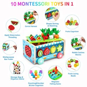 10-In-1 Wooden Montessori Toys for Toddlers, Carrot Harvest, Shapes Sorting &Matching, Stacking Cups, Fruits Lacing Threading,Preschool Learning Fine Motor Skills Game for 1 2 3 4 Years Old Babies