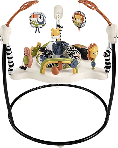 Fisher-Price Baby Bouncer Palm Paradise Jumperoo Activity Center With Music Lights Sounds And Developmental Toys