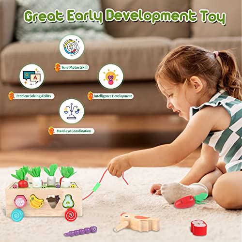 Winique Wooden Montessori Toys for 1 2 Year Old, Educational Learning Toys for Boys Girls, Shape Sorter Toddler Toys Gifts for 2 Year Old Girl Preschool Fine Motor Skills