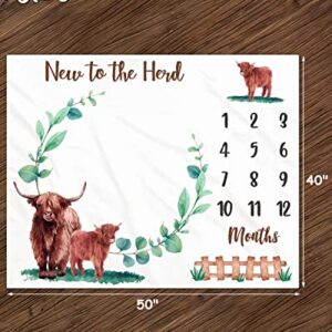 Eunikroko Highland Cow Baby Monthly Milestone Blanket Scotland Photo Prop Blanket with Greenery New to The Herd Cattle Gift Ideas for Newborn Boy Girl Nursery Décor Baby Shower 40" X 50"