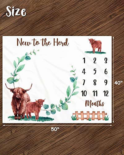 Eunikroko Highland Cow Baby Monthly Milestone Blanket Scotland Photo Prop Blanket with Greenery New to The Herd Cattle Gift Ideas for Newborn Boy Girl Nursery Décor Baby Shower 40" X 50"