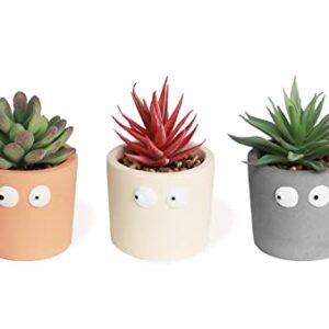 Zerzsy 3 PCS Small Budding Eye Fake Succulent Plant Pot, Mini Succulent Plant, Cute Desktop Decoration, Desktop Plant for Women Office Decoration, Cute Fake Plant Bathroom Decoration.