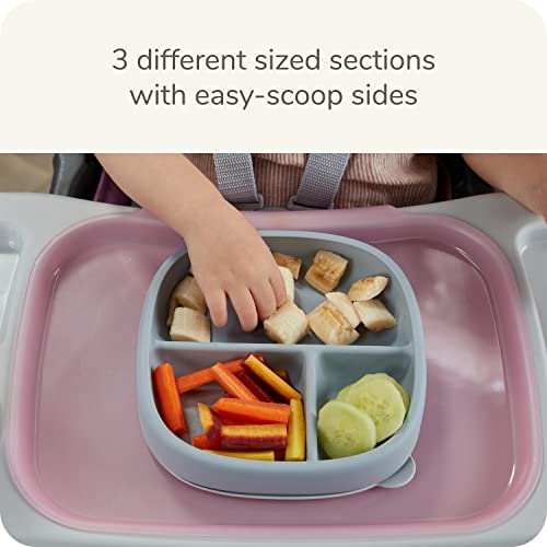 NUK for Nature™ Suction Plate and Lid