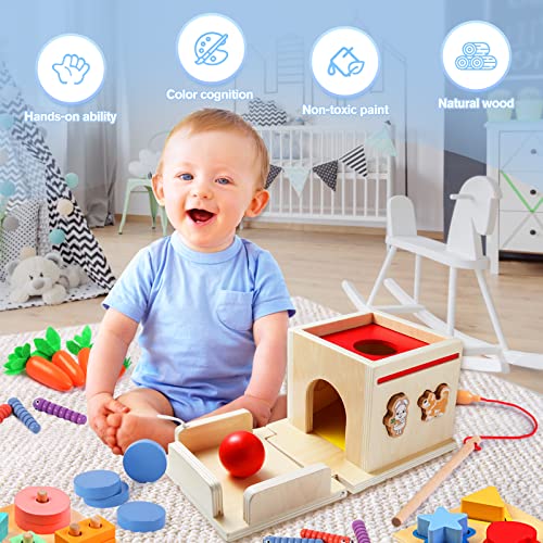 Asweets 8 in 1 Montessori Toys for 1 Year Old Includes Object Permanence Box，Montessori Coin Box，Carrot Harvest Game，Matchstick Color Drop Game，Ball Drop Learning Toys for 6-12 Months