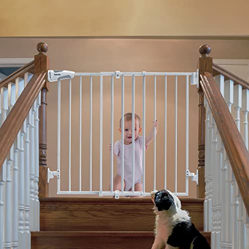 Babelio 26-43" Auto Close Baby/Dog Gate for Stairs, 2-in-1 Easy Swing Doorway and Hallway Pet Gate, with Extra-Wide Walk Thru Door and Threshold-Free Design, White
