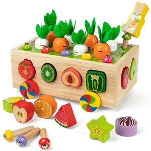 coogam montessori fine motor toys for baby toddler, wooden shape sorter carrot harvest game, preschool learning educational gift toy for 3 4 5 year old